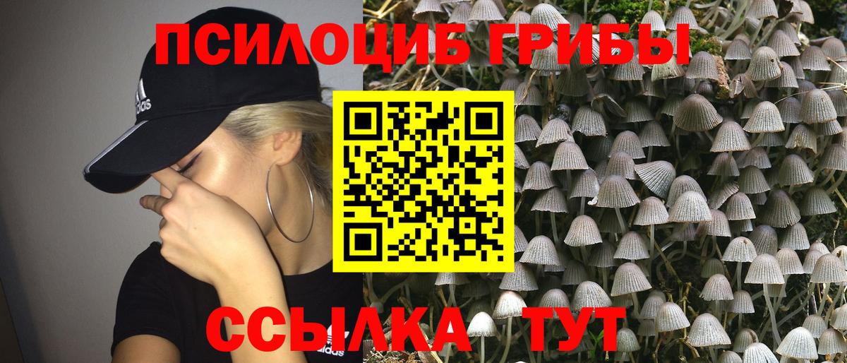 Зеленодольск  Псилоцибиновые грибы Magic Shrooms  Вход с VPN 